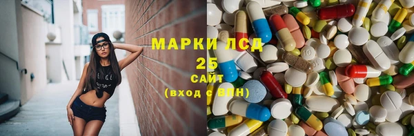 индика Краснотурьинск