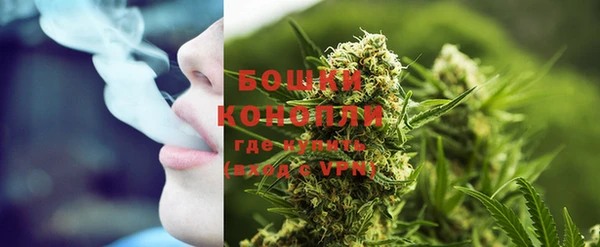 твердый Корсаков