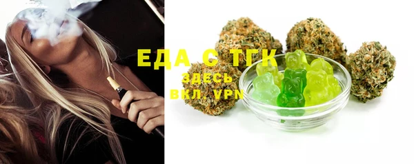 индика Краснотурьинск