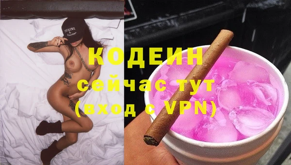 твердый Корсаков