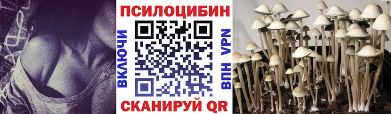 Купить где  Краснокамск  Галлюциногенные грибы MAGIC MUSHROOMS 
